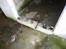 DSC00967.webp