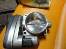 DSC01005.webp