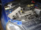 DSC00964.webp