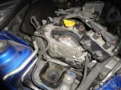 DSC00983.webp