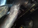 2011-04-09 14.16.55.webp