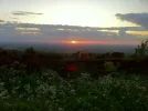 003.webp