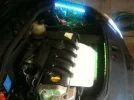 ImageUploadedByTapatalk1305540600.809111.webp