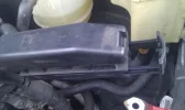 IMAG0332.webp