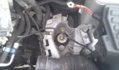 IMAG0333.webp