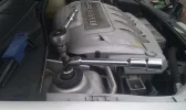 IMAG0328.webp