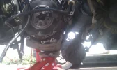 IMAG0367.webp