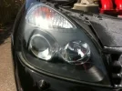 img1174ry.webp