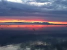 2nhkec5.webp