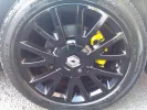 IMAG0237.webp