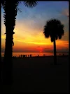 ImageUploadedByTapatalk1309685606.929067.webp