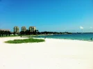 ImageUploadedByTapatalk1309685706.398867.webp