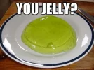 you-jelly.webp you-jelly.webp