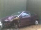 polo_purple_nsfr.webp