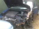 polo_purple_eng.webp
