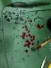 e2f73183.webp e2f73183.webp