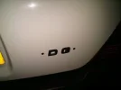 dg.webp