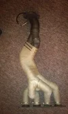 IMAG0195.webp