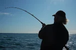 2917986747_8f76ec0ef1.webp