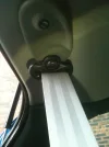 ImageUploadedByTapatalk1316024477.906851.webp