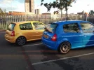 clio meet 503.webp