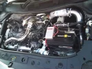 clio meet 517.webp