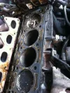IMG_1923 (Small).webp IMG_1923 (Small).webp