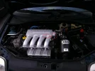 photo.webp