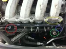 photo.webp