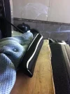 ImageUploadedByTapatalk1319916467.744601.webp