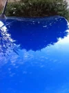ImageUploadedByTapatalk1320940312.631991.webp