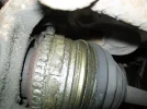 100_3471.webp