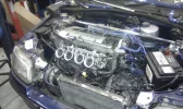 IMAG0015.webp