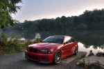 101.webp
