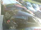 DSC00065.webp