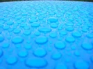 DSCN1018.webp