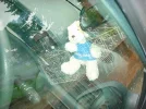 DSC01147.webp