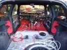 Stripped Out (Small).webp