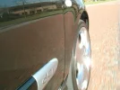 spin.webp