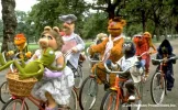 Muppet.webp