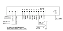 Power Window Diagram.webp