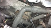IMAG0012.webp IMAG0012.webp