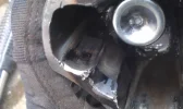 IMAG0142.webp