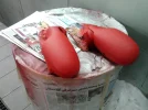 2012-01-12 17.49.32.webp