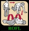 How_To_Rofl.webp