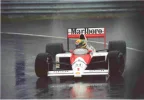 senna.webp
