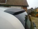 Clio (42).webp