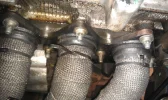 IMAG0281.webp