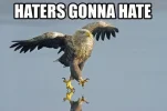 hatereagle.webp