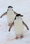 6831457117_02fab9646f_b.webp